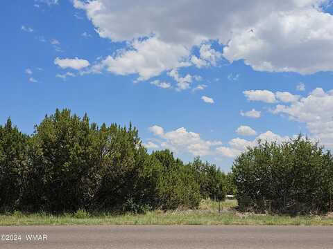 Tbd School Bus Road, Eagar, AZ 85925