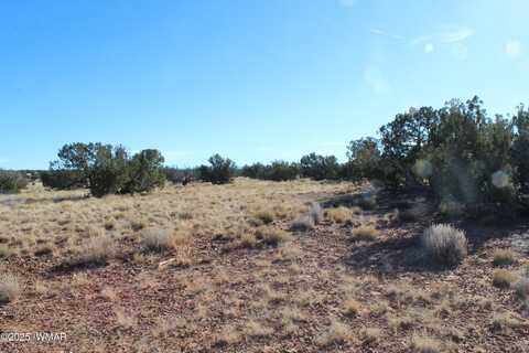 Lot 20 County Road 5152, Concho, AZ 85924