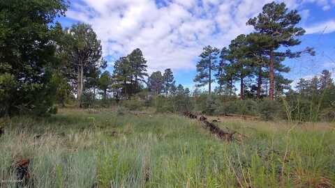 5139 Highway 260, Clay Springs, AZ 85923