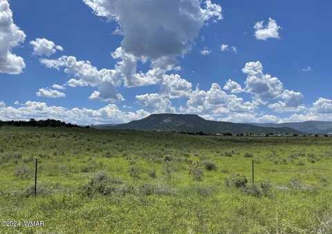 Tbd Parcel 1, Springerville, AZ 85938