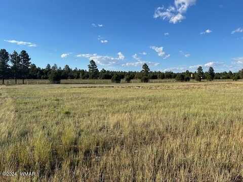 2310 Quarter Horse Trail, Overgaard, AZ 85933