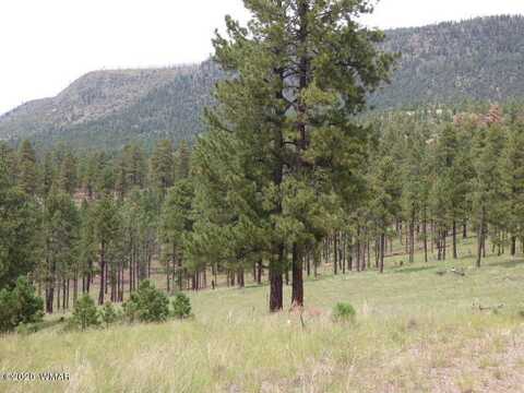 Lot 14a The Ranch At Alpine, Alpine, AZ 85920