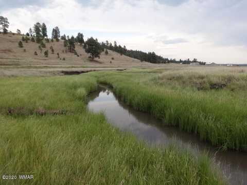 Lot 23a The Ranch At Alpine, Alpine, AZ 85920