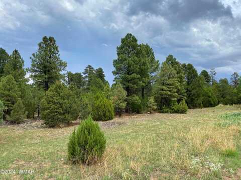 2026 State Route 277, Heber, AZ 85928