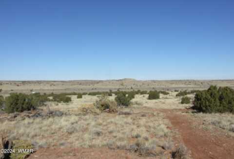 Tbd W Rencher Ave, Snowflake, AZ 85937