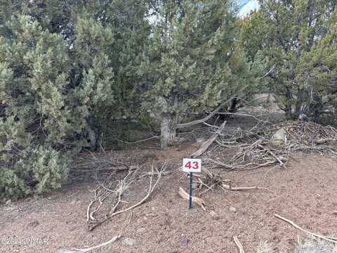 Tbd (Lot 43) N3026, Vernon, AZ 85940