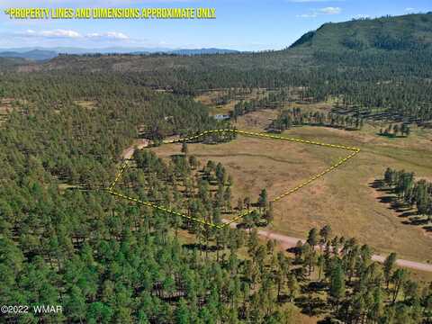 1a FOREST ROAD 26, Alpine, AZ 85920