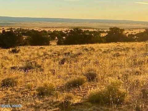 Tbd Sanders 127.5 acres Lot B, Sanders, AZ 86512