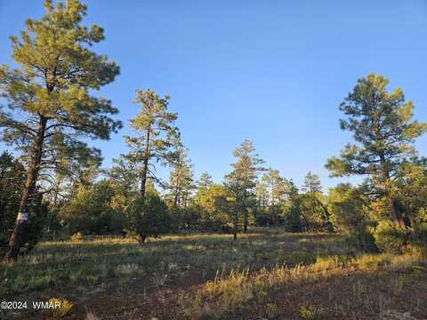 4843 W Bison Trail, Lakeside, AZ 85929