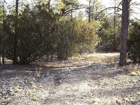 3341 Sawmill Ridge Loop, Heber, AZ 85928