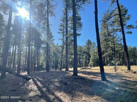 Lot E County Road N2147, Alpine, AZ 85920