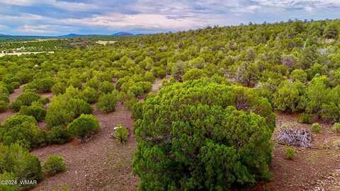 Tbd N3218 9.24 Acres Lot A, Vernon, AZ 85940