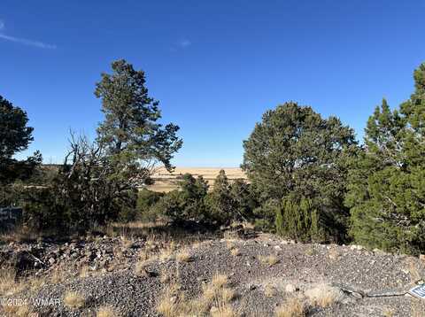 Tbd S Skyline Drive, Eagar, AZ 85925