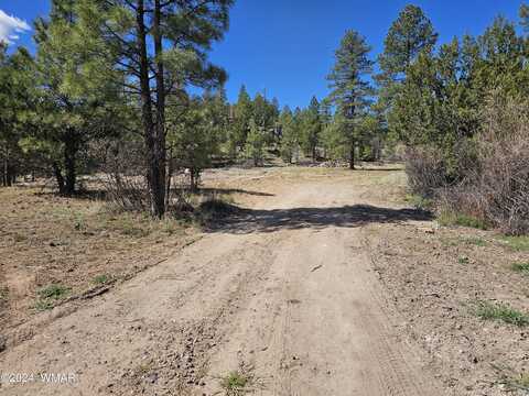 3326 Black Canyon RD, Heber, AZ 85928