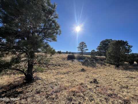 Tract 4 County Road N1334, Greer, AZ 85927