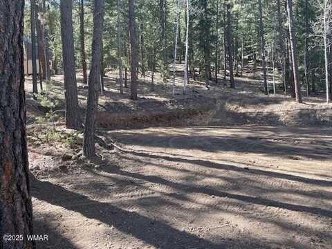 2 County Road 1007, Greer, AZ 85927