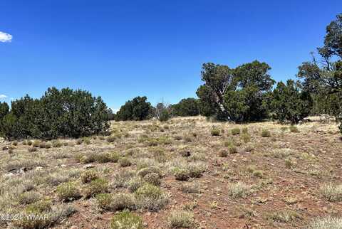 Lot 049, Concho, AZ 85924