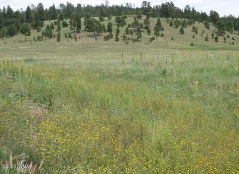 Lot 25a The Ranch At Alpine, Alpine, AZ 85920