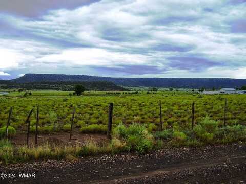 Tbd US-60, Springerville, AZ 85938