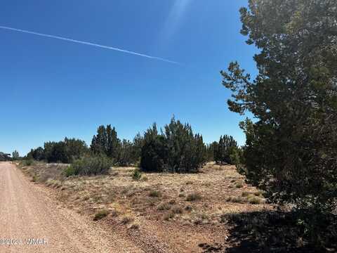 1985 Tee Street, White Mountain Lake, AZ 85912