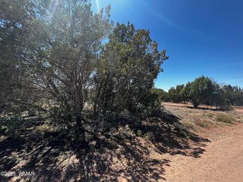 1985 Tee Street, White Mountain Lake, AZ 85912