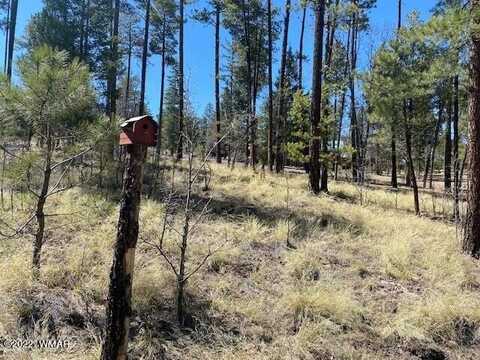 000 COUNTY ROAD 2191, Alpine, AZ 85920