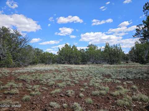 12 & 14 County Road N3573, Vernon, AZ 85940