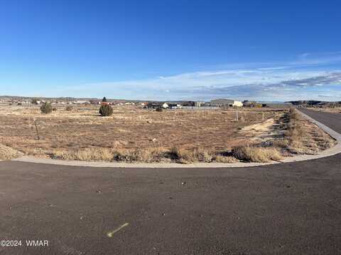 Lot 10 Airport Loop Road, Taylor, AZ 85939