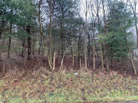 Lot 5 Ringertown Road, Murrysville, PA 15632