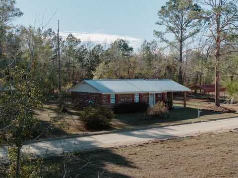 93 Burketts Ferry Landing, Hazlehurst, GA 31539