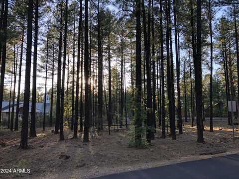 2504 TIMBER RIDGE Lane, Pinetop, AZ 85935