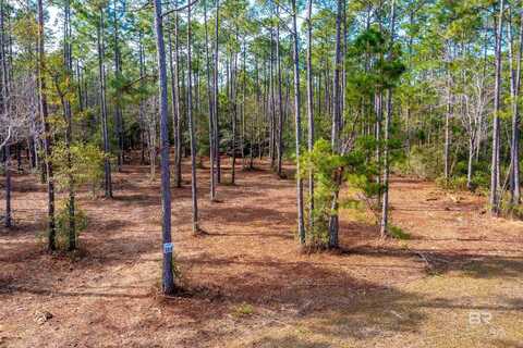 122 Millwood Drive, Gulf Shores, AL 36542