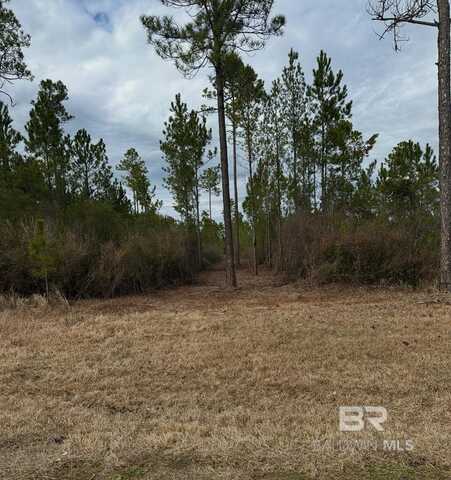 1 Hollingsworth Road, Bay Minette, AL 36507
