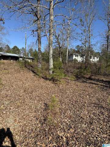 194 HUNTERS LANE, VANDIVER, AL 35176