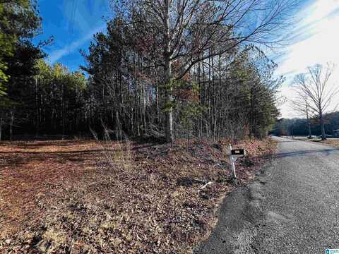 0 OLD PIEDMONT GADSDEN HIGHWAY, PIEDMONT, AL 36272