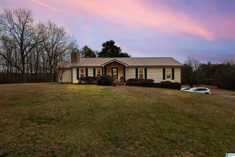 560 PHILLIPS DRIVE, ONEONTA, AL 35121