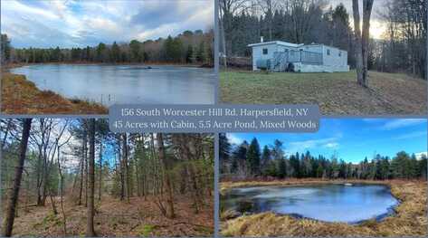 156 S Worcester Hill Road, Harpersfield, NY 12093