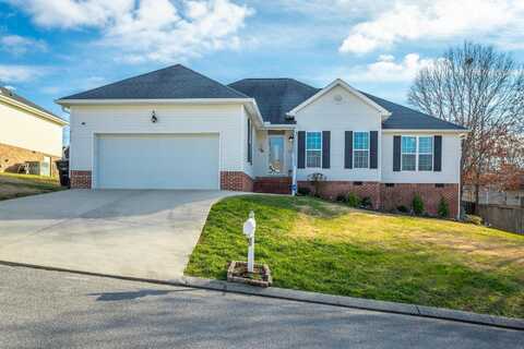 8126 Fatherson Circle, Ooltewah, TN 37363