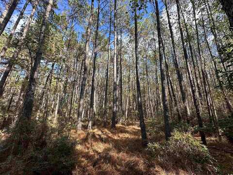 26 Acres-TBD Puncheon Creek Dr., Andrews, SC 29510