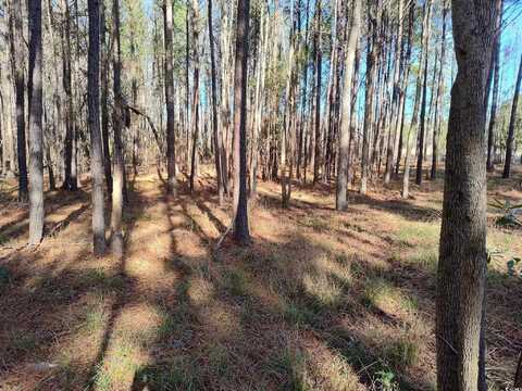 TBD County Line Rd., Andrews, SC 29510