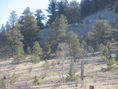 Lot 5896 Cohonina Road, Hartsel, CO 80449