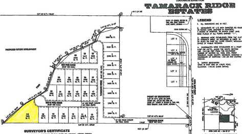 Lot 16 White Pine, Harrison, MI 48625