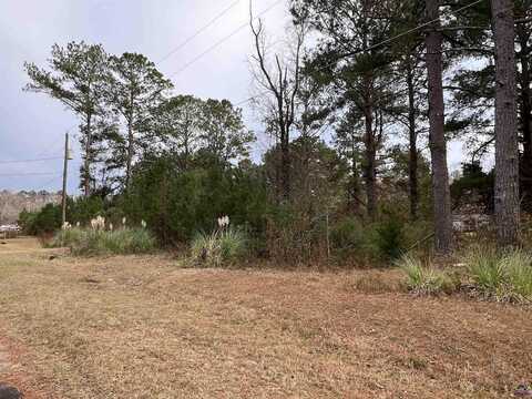 107 Persimmon Drive, Kathleen, GA 31047