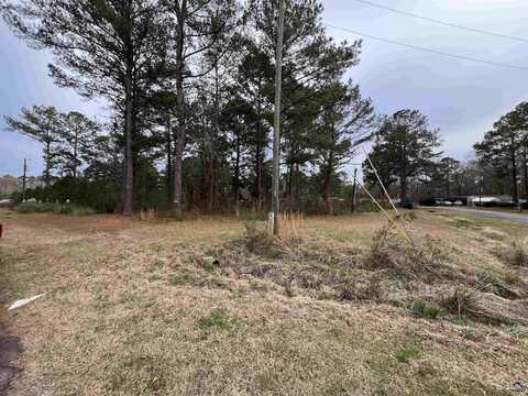 113 Persimmon Drive, Kathleen, GA 31047