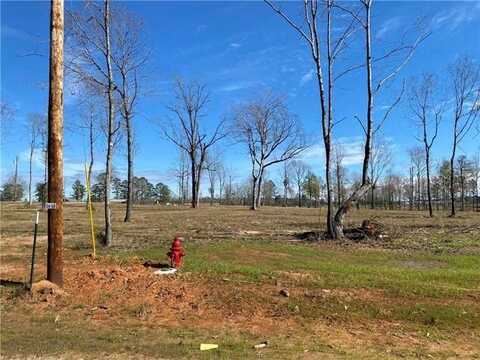 0 Sophie Lane, Dry Prong, LA 71423