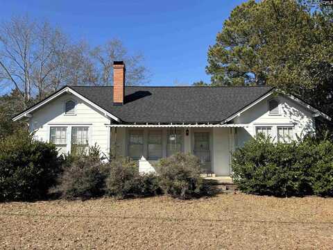 203 Meetze Avenue, Lexington, SC 29072