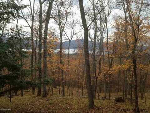 Valley Woods Road lot: 1, Bolton Landing, NY 12814