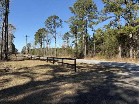 Lot B-1 Hwy. 61, Ridgeville, SC 29472