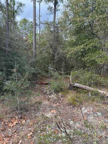 Lot 23 Sundance Road, DeFuniak Springs, FL 32435