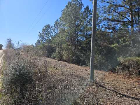 5.5 Acres Prescott Road, Florala, AL 36442